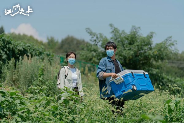 陈数新剧角色反差魅力解析，演绎环保女侠与柔情学者