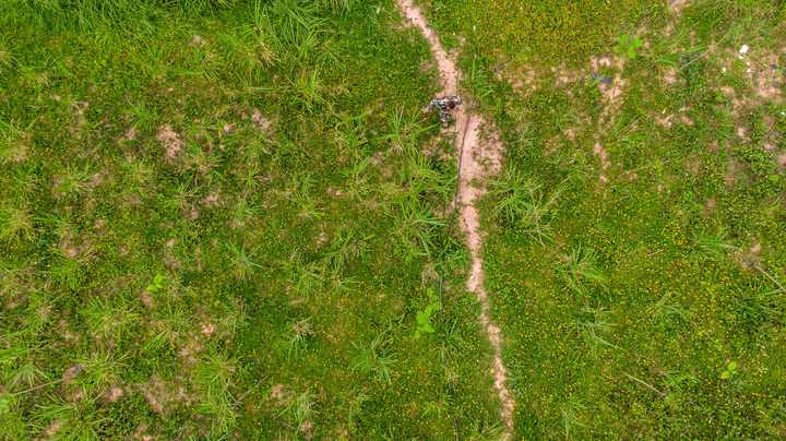 中国如何有效缓解人象冲突？保护与监测并举的实践探索