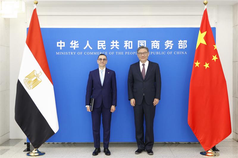 中埃深化经贸合作，拓展新兴领域与多边框架协作