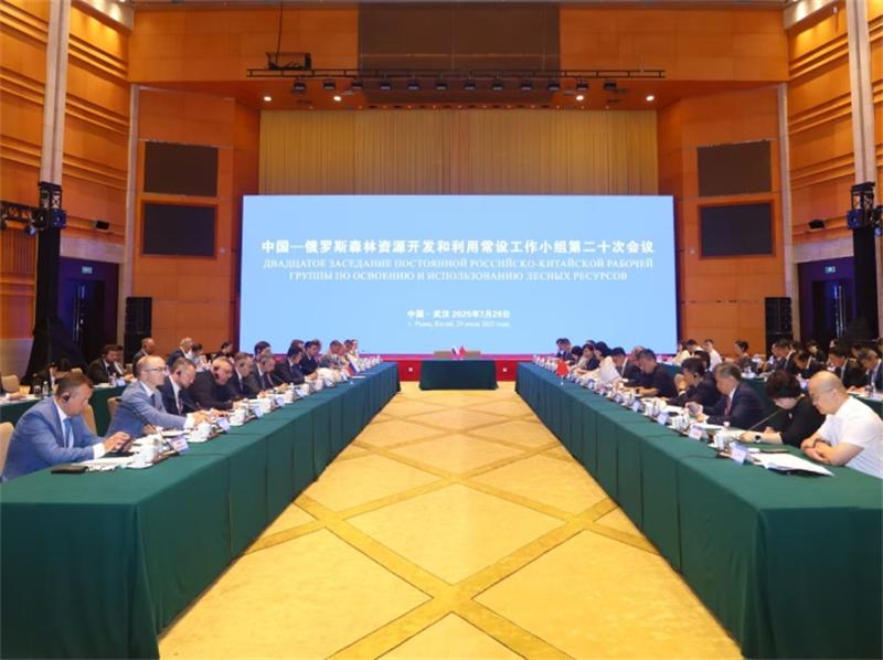 中俄深化森林资源合作，共推绿色低碳转型与产业链协同
