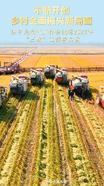 2025年三农工作重点：稳产保供与乡村振兴路径解析