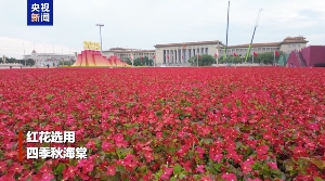 天安门广场阅兵观礼台布置解析：色彩、布局与艺术效果